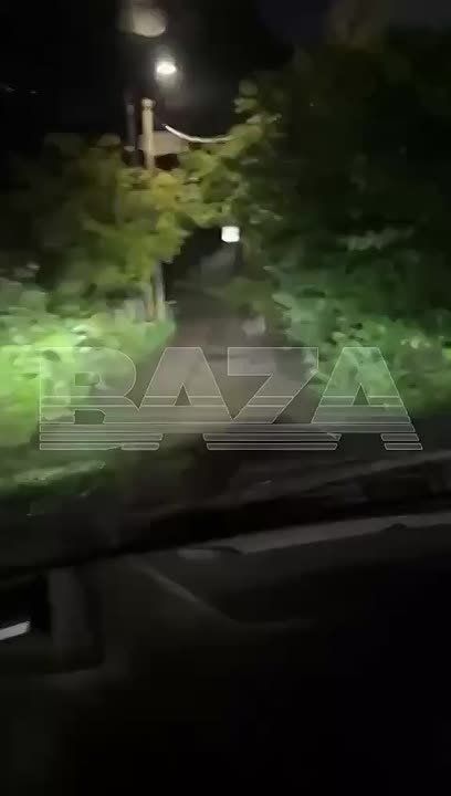            &quot;&quot;,   ,          