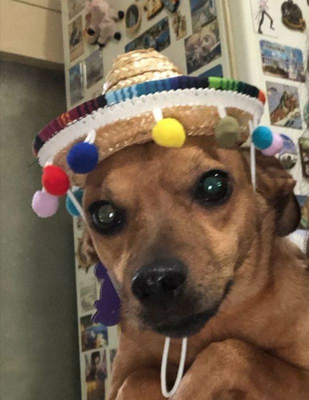  , !.  +14 