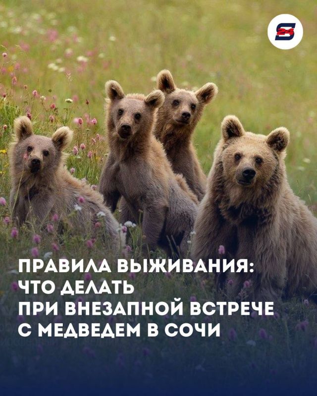    :      ?