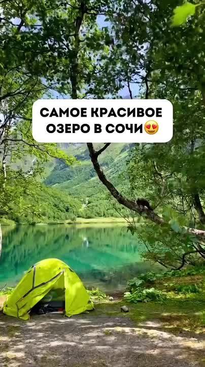  :   !