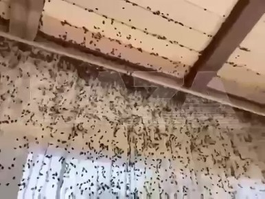            ,   