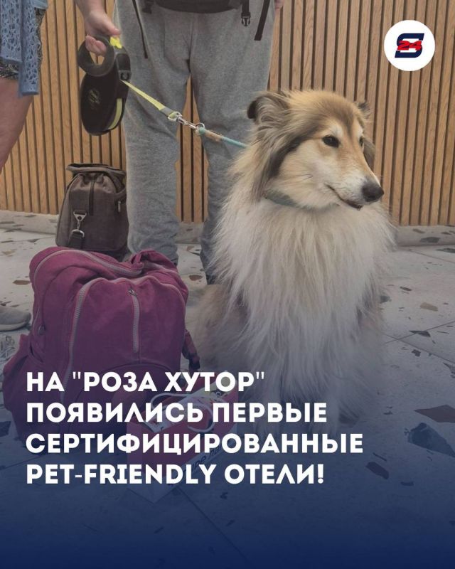    ,        !