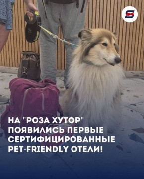    ,        !