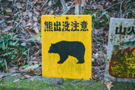       :               ,   NHK