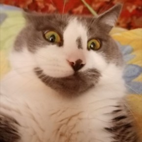  , !.  +20 