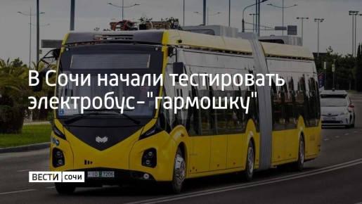  433 Vitovt Max Electro II         &quot;  2025&quot;