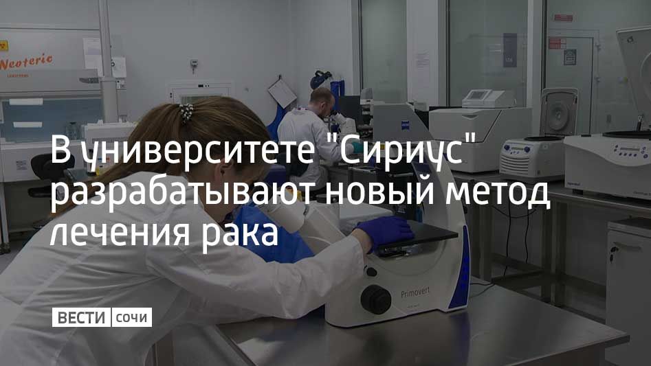 В Научно-технологическом университете "Сириус" начали трехлетний проект по созданию нового подхода к лечению рака