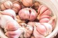 8 ошибок, которые делают почти все при употреблении чеснока
