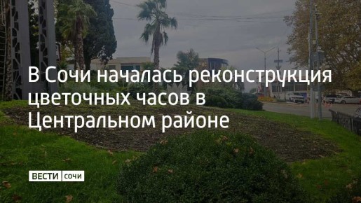В Сочи начали обновлять цветочные часы у Морского вокзала, которые были установлены в 2007 году