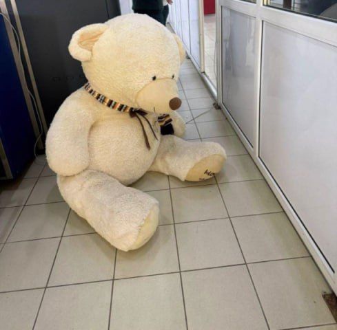 У медведя нашли 150 пачек нелегальных сигарет в Сочи