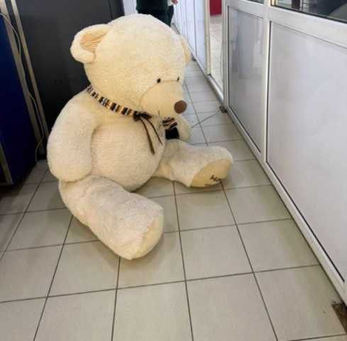 Сижки в мишке: сочинские таможенники обнаружили контрабандные сигареты в большой плюшевой игрушке