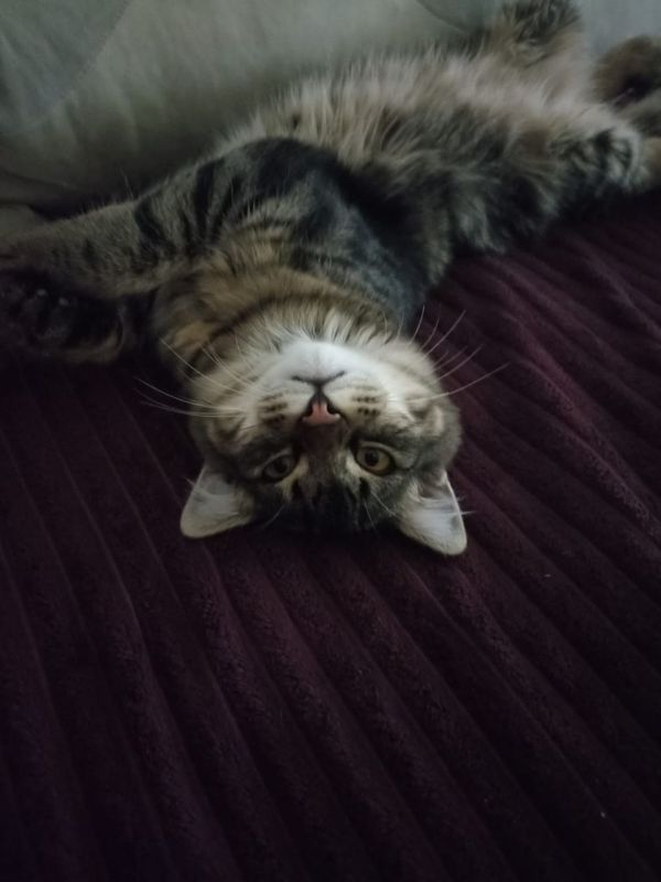 Доброе утро, Кубань!. Краснодар +14 °С