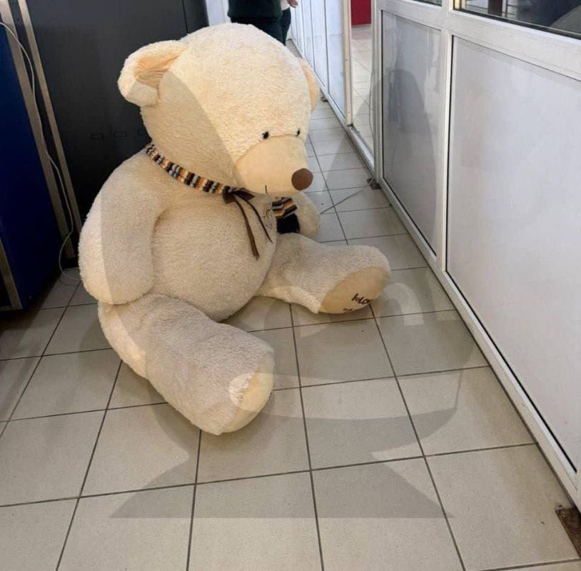 Плюшевый медведь под прикрытием!