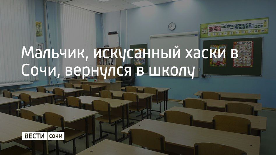 После длительного лечения маленький сочинец, пострадавший от нападения собак, снова начал ходить на учебу вместе с классом