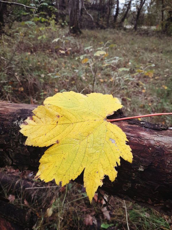 О погоде на 22 октября. В Краснодарском крае облачно с прояснениями