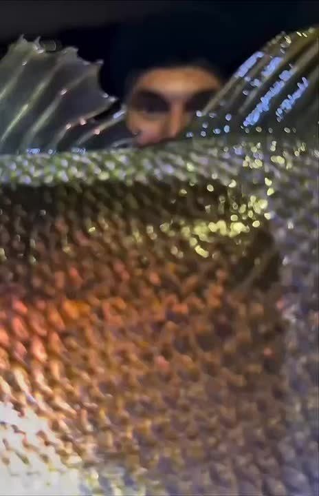 Сезон рыбалки продолжается: парень из Сочи поймал большого горбыля почти у берега Черного моря