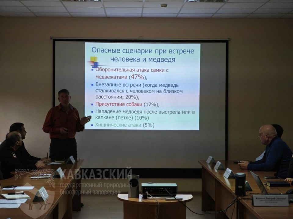 Почти 1600 выходов медведей к людям: Сочи ищет решение проблемы