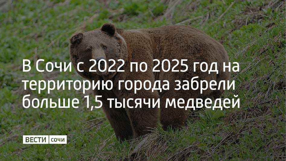 Из 1586 случаев 267 признаны конфликтными