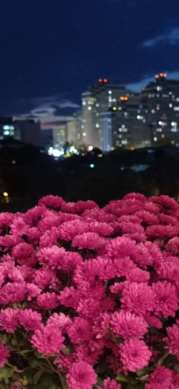 О погоде на 24 октября. В Краснодарском крае облачно с прояснениями