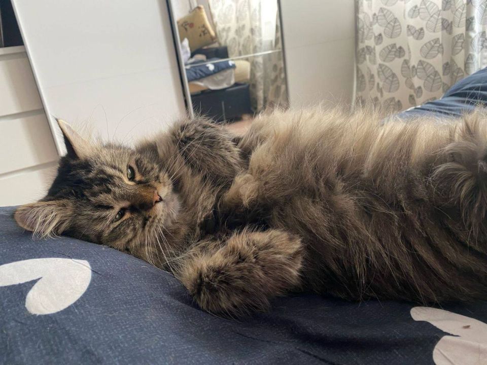 О погоде на Кубани:. Краснодар +20