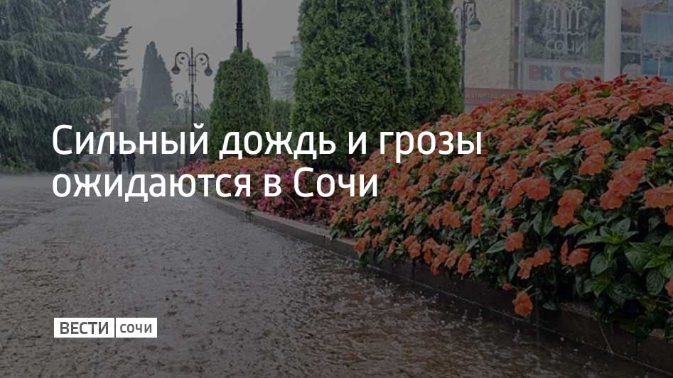 Ночью и утром 26 октября в Сочи и на федеральной территории Сириус местами ожидается сильный дождь, гроза