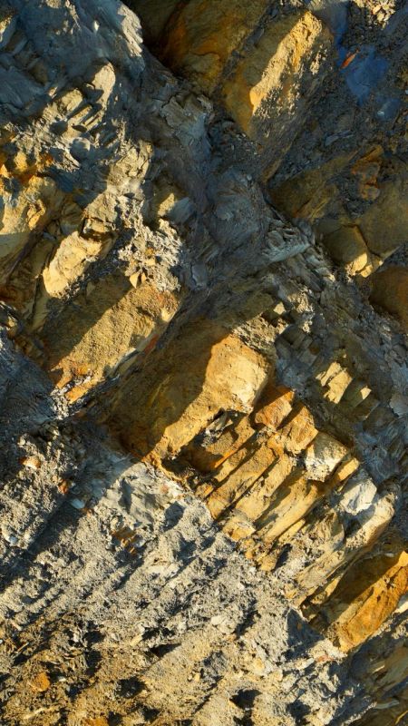   50          ,          ,         