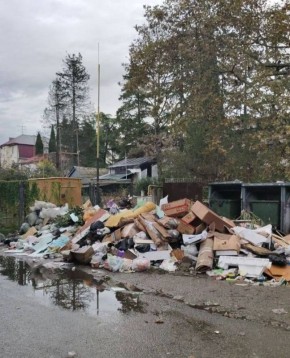 Что там по мусору? Жители Чайсовхоза «Орёл-Изумруд» в отчаянии!