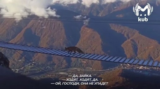 "Она не заплатила за проходку, да!"