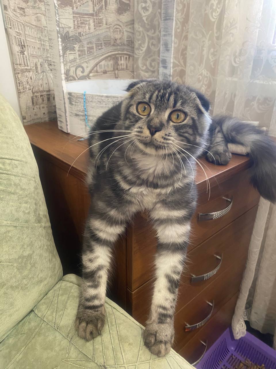 О погоде на 29 октября. В Краснодарском крае облачно с прояснениями О погоде на 29 октября. В Краснодарском крае облачно с прояснениями