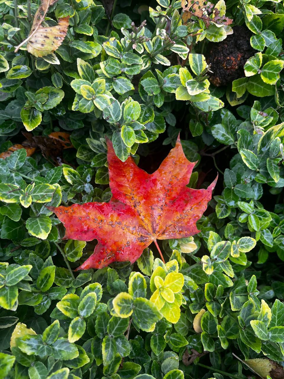 О погоде на 29 октября. В Краснодарском крае облачно с прояснениями О погоде на 29 октября. В Краснодарском крае облачно с прояснениями