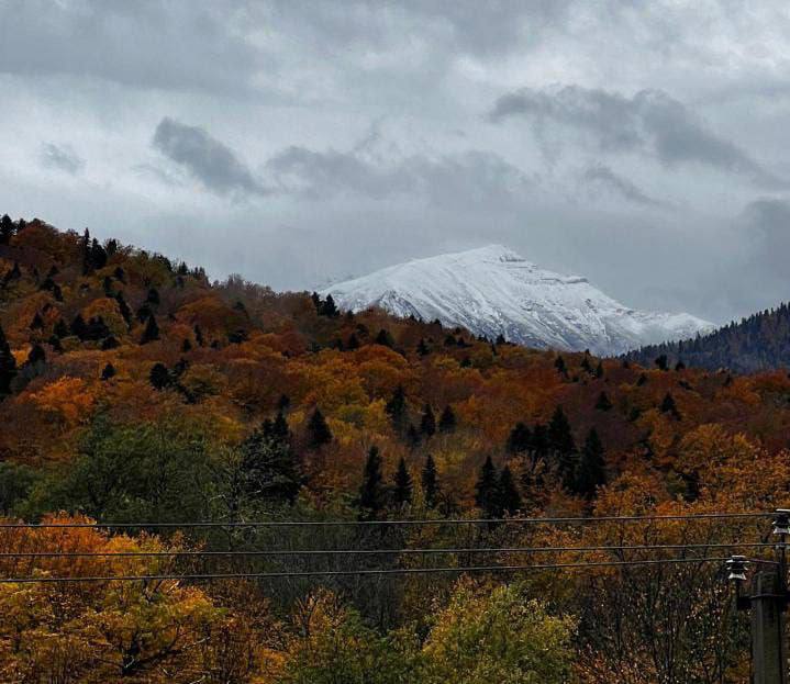 О погоде на 29 октября. В Краснодарском крае облачно с прояснениями О погоде на 29 октября. В Краснодарском крае облачно с прояснениями