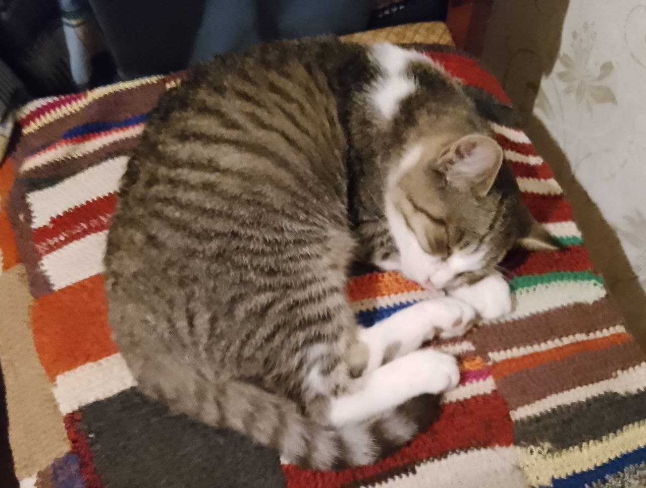 Доброе утро, Кубань!. Краснодар +15 °С Доброе утро, Кубань!. Краснодар +15 °С