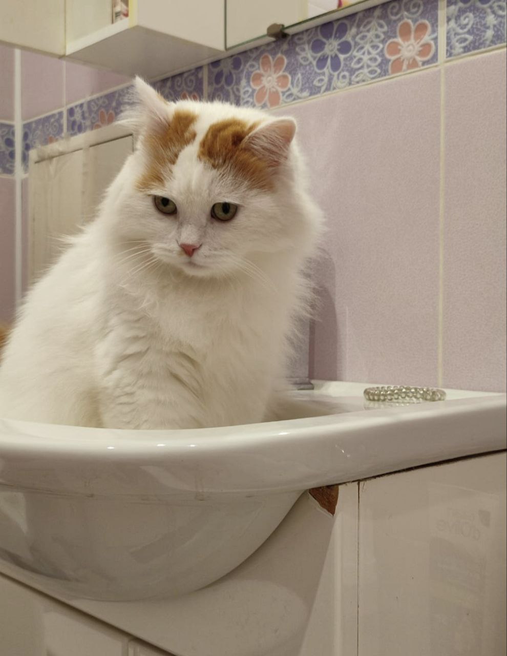 Доброе утро, Кубань!. Краснодар +15 °С Доброе утро, Кубань!. Краснодар +15 °С