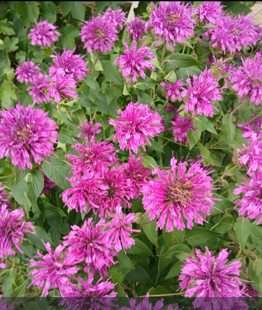 О погоде на 29 октября. В Краснодарском крае облачно с прояснениями О погоде на 29 октября. В Краснодарском крае облачно с прояснениями