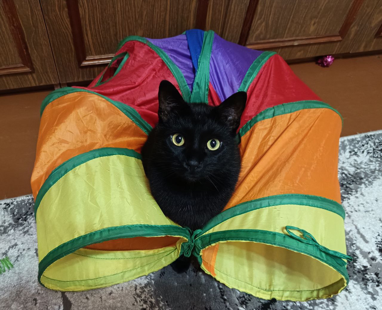 Доброе утро, Кубань!. Краснодар +15 °С Доброе утро, Кубань!. Краснодар +15 °С