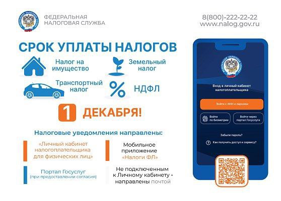 До 1 декабря сочинцам необходимо оплатить имущественные налоги