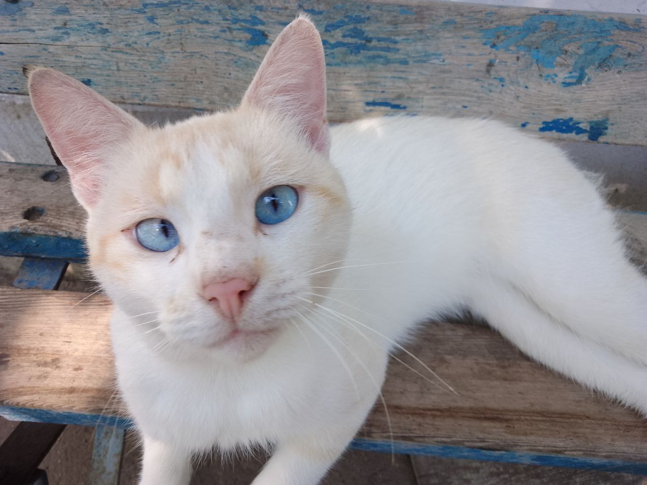 Доброе утро, Кубань!. Краснодар +17 °С Доброе утро, Кубань!. Краснодар +17 °С