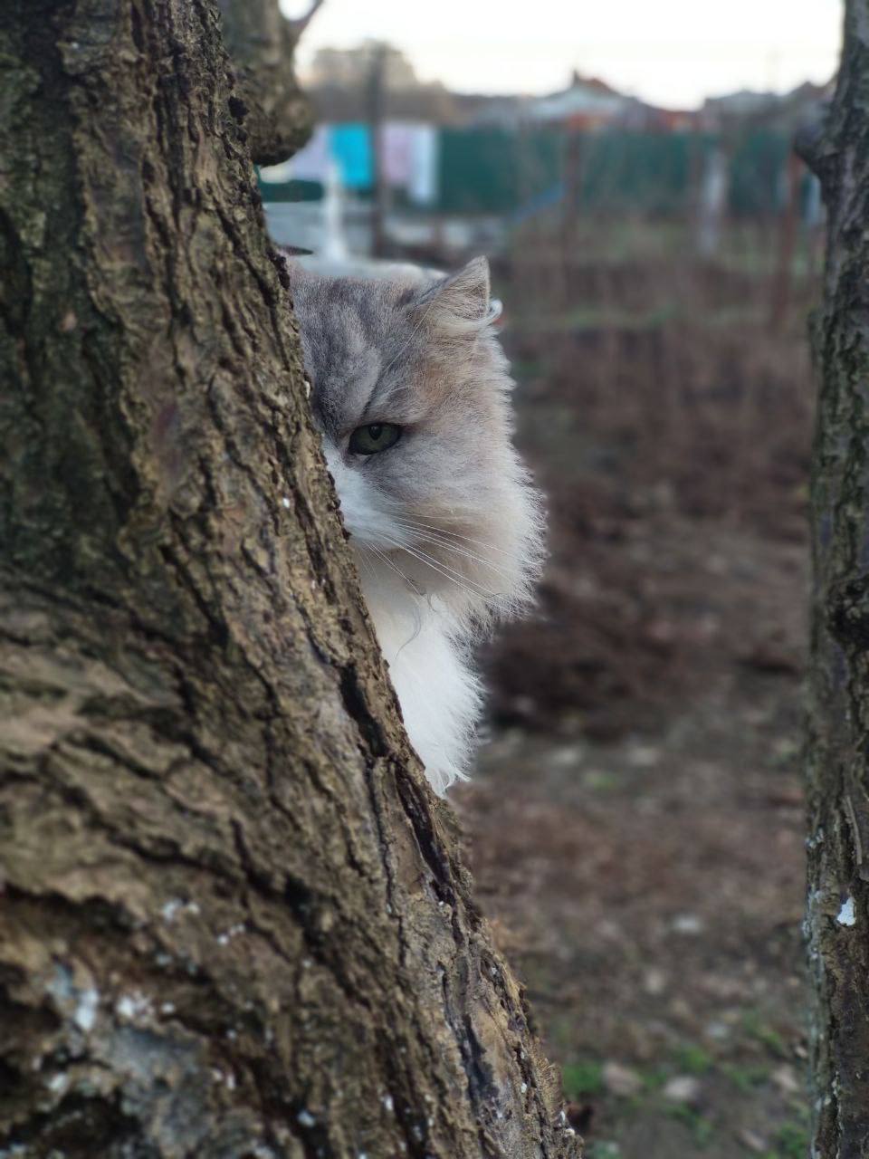 О погоде на 30 октября. В Краснодарском крае облачно с прояснениями О погоде на 30 октября. В Краснодарском крае облачно с прояснениями