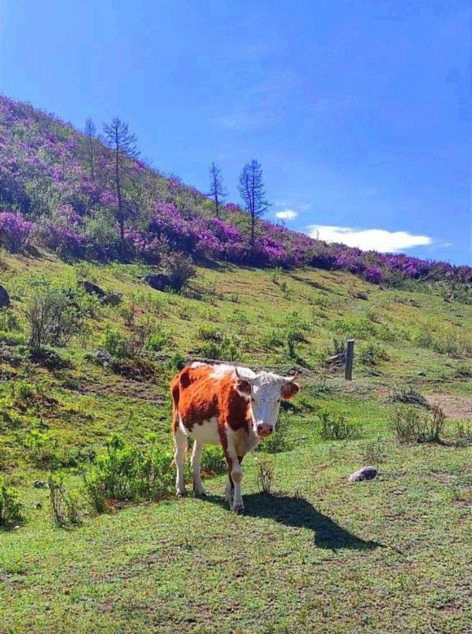 О погоде на 30 октября. В Краснодарском крае облачно с прояснениями О погоде на 30 октября. В Краснодарском крае облачно с прояснениями