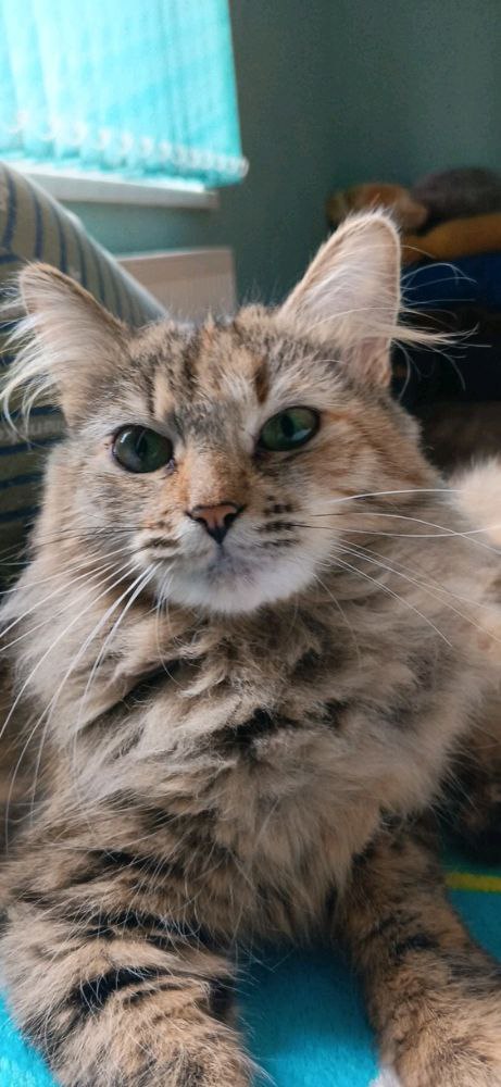 Доброе утро, Кубань!. Краснодар +17 °С Доброе утро, Кубань!. Краснодар +17 °С