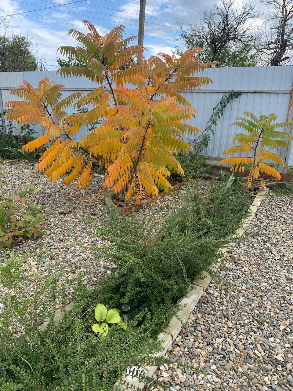 О погоде на 30 октября. В Краснодарском крае облачно с прояснениями О погоде на 30 октября. В Краснодарском крае облачно с прояснениями