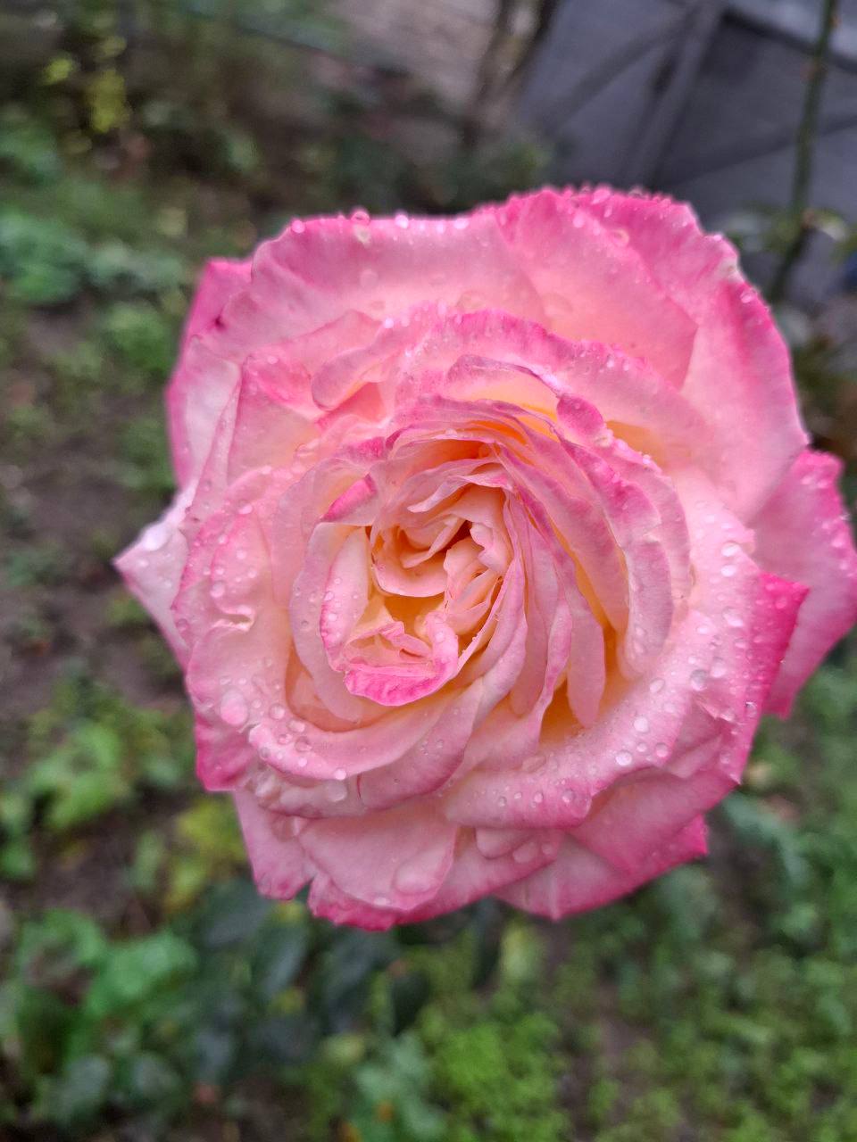 О погоде на 30 октября. В Краснодарском крае облачно с прояснениями О погоде на 30 октября. В Краснодарском крае облачно с прояснениями