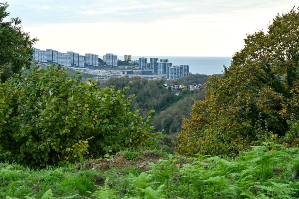 Доброе утро, любимый город!