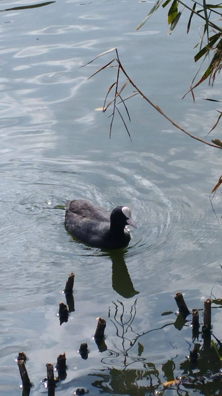 О погоде на 30 октября. В Краснодарском крае облачно с прояснениями О погоде на 30 октября. В Краснодарском крае облачно с прояснениями