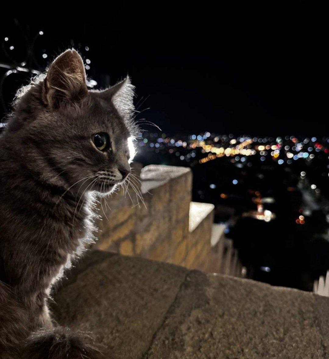 О погоде на 30 октября. В Краснодарском крае облачно с прояснениями О погоде на 30 октября. В Краснодарском крае облачно с прояснениями