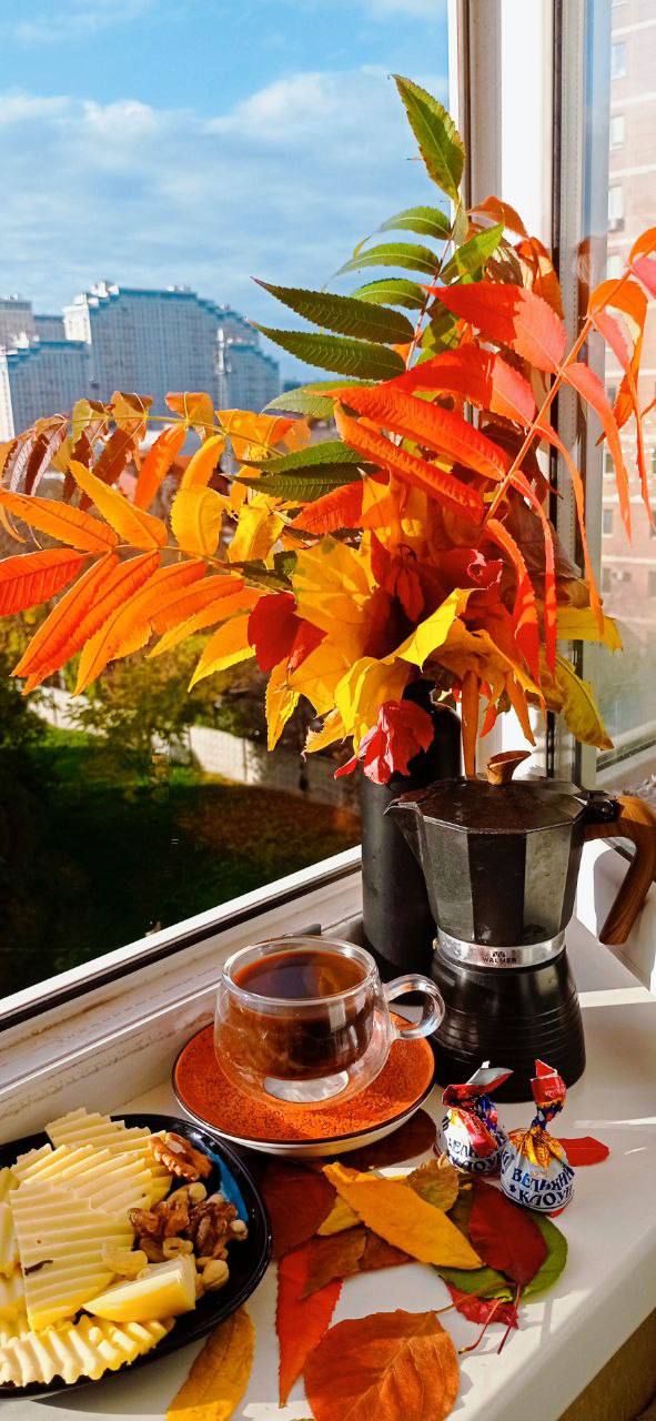 О погоде на 30 октября. В Краснодарском крае облачно с прояснениями О погоде на 30 октября. В Краснодарском крае облачно с прояснениями