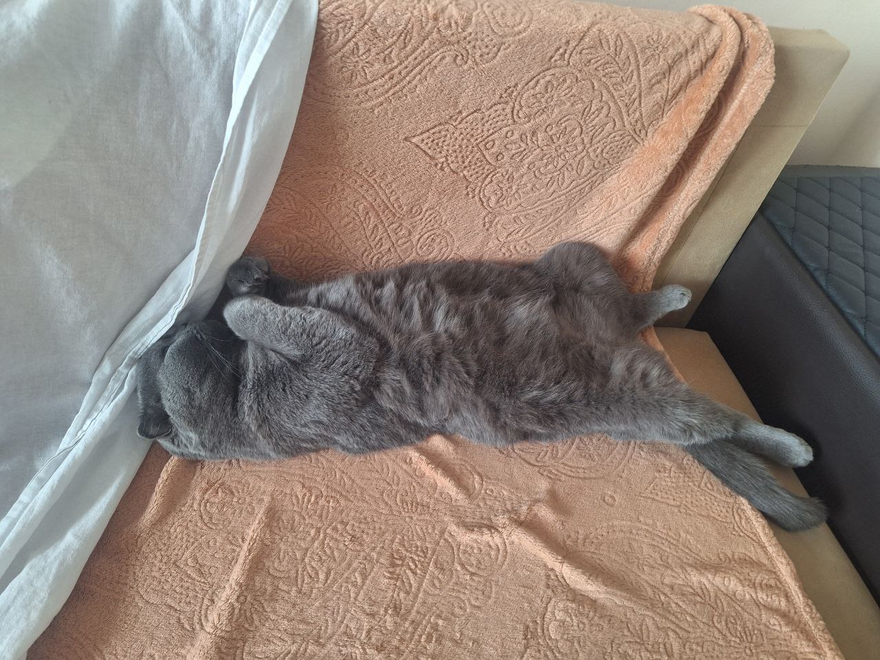 Доброе утро, Кубань!. Краснодар +18 °С Доброе утро, Кубань!. Краснодар +18 °С