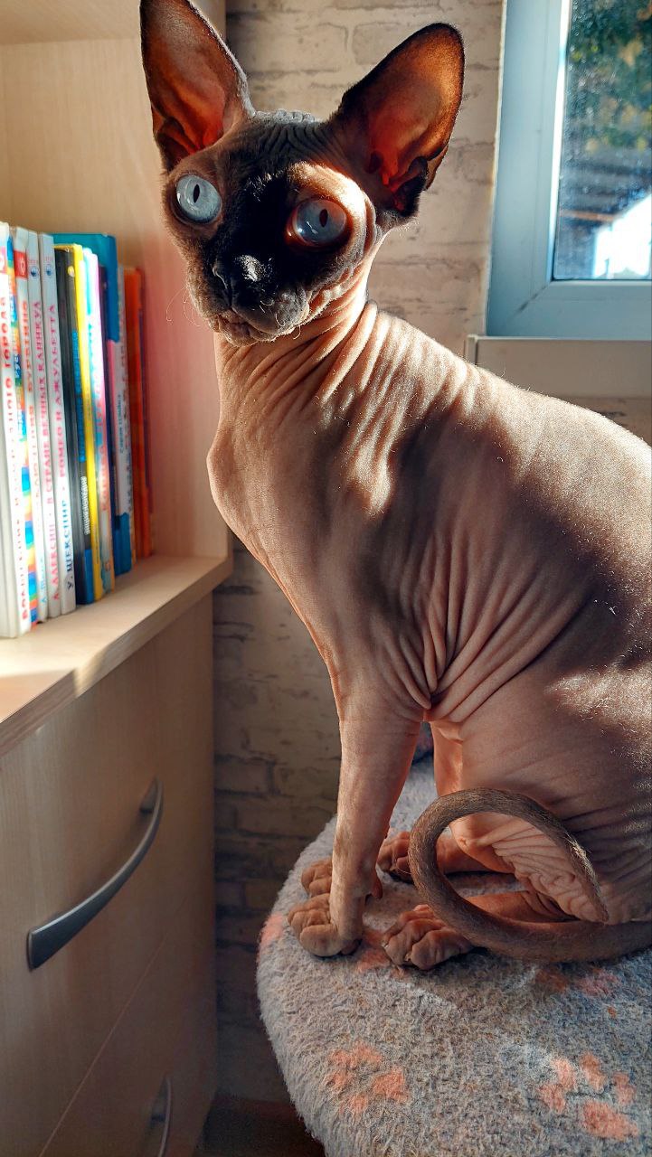 Доброе утро, Кубань!. Краснодар +18 °С Доброе утро, Кубань!. Краснодар +18 °С