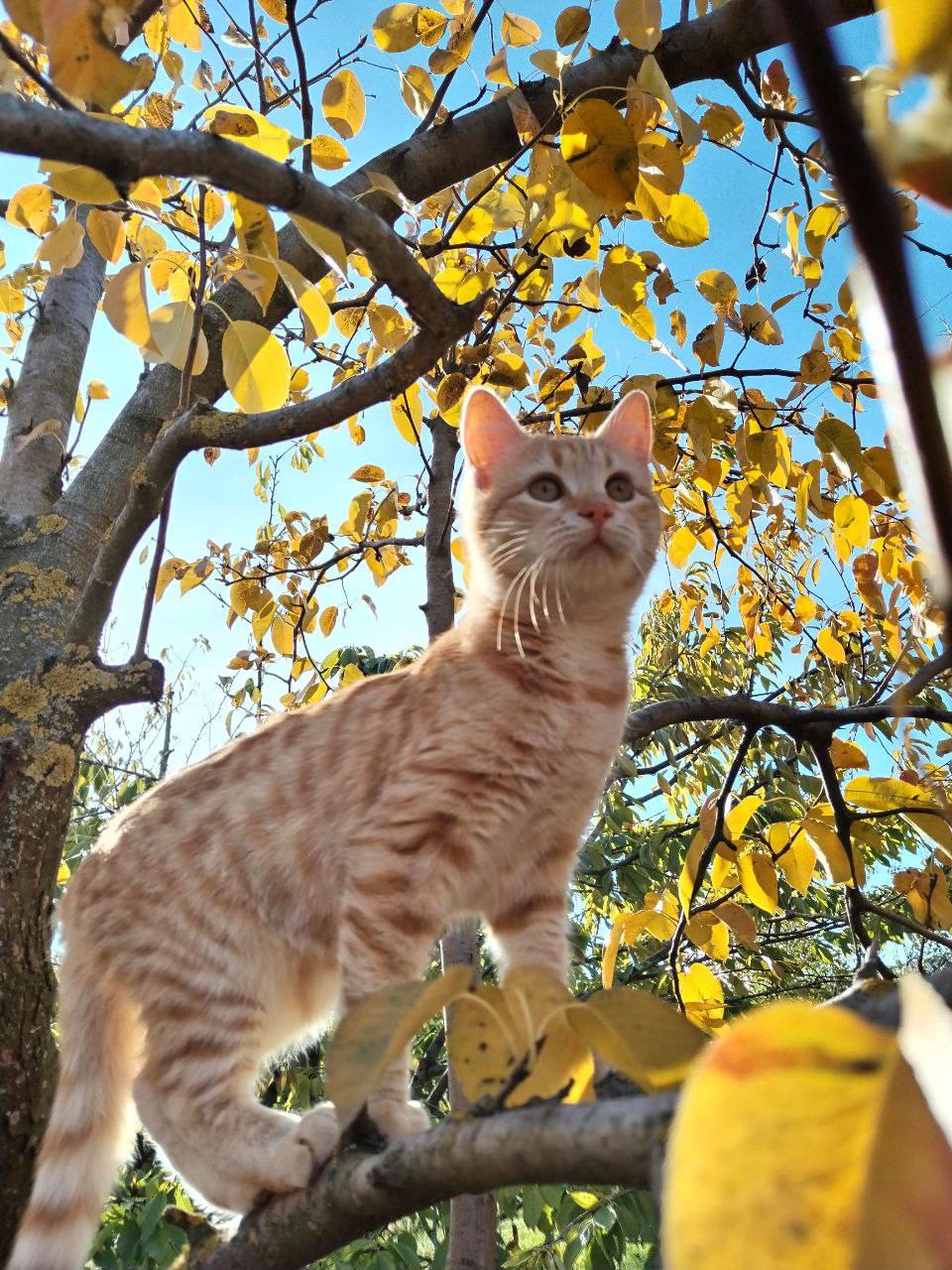 О погоде на 31 октября. В Краснодарском крае переменная облачность О погоде на 31 октября. В Краснодарском крае переменная облачность