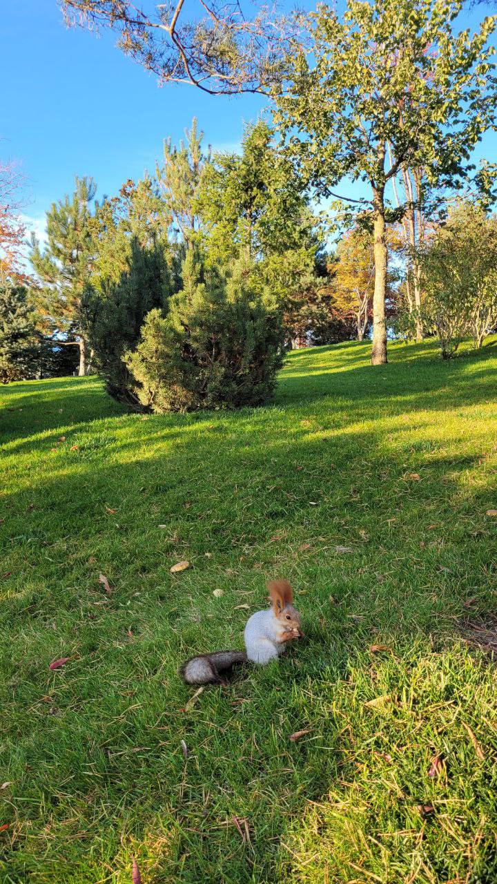 О погоде на 31 октября. В Краснодарском крае переменная облачность О погоде на 31 октября. В Краснодарском крае переменная облачность